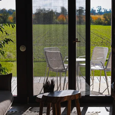 Chalet Drewniane Caloroczne Gryszczeniowka *