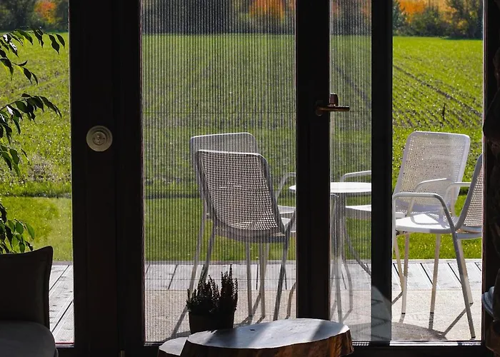 Chalet Drewniane Caloroczne Gryszczeniowka *